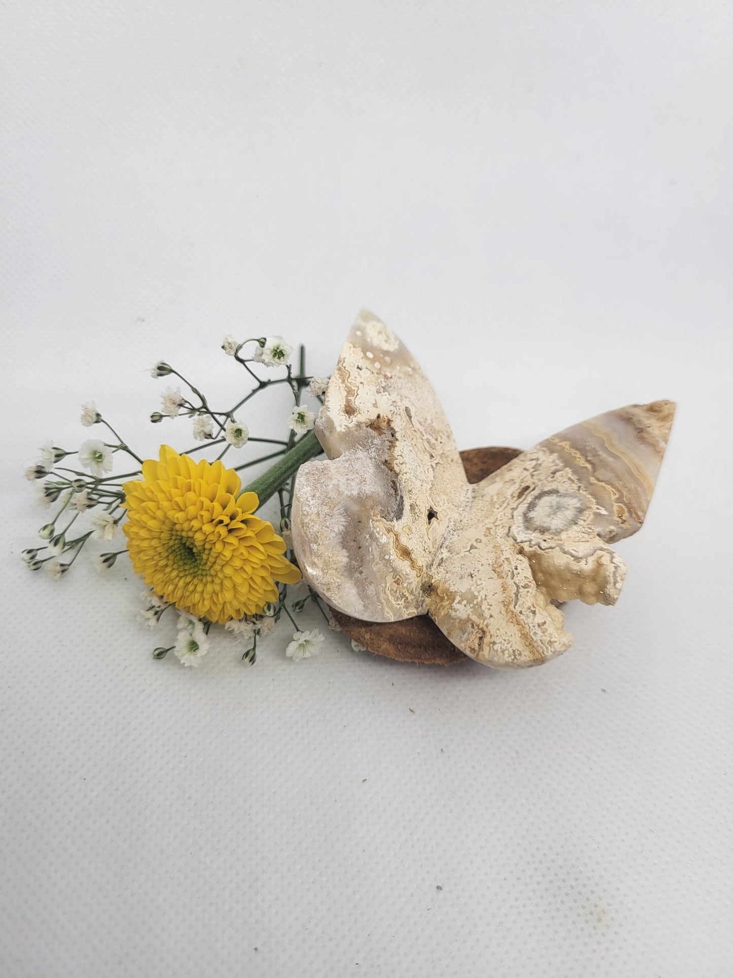 Hochwertig geschnitzter, Crazy Lace Achat Schmetterling 