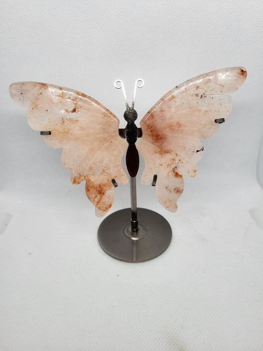 Schmetterling auf Ständer